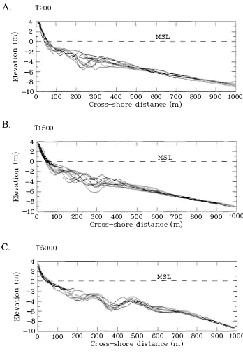 Figure 2 . 11 Profile bundles for cross-shore t ransects at sites T20 0  (A) I T15 0 0  ( B )  and T50 0 0  (C) 