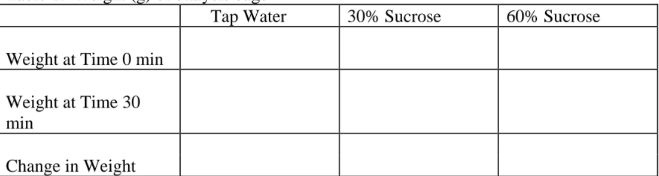 Table 1.  Weight (g) of dialysis bags 