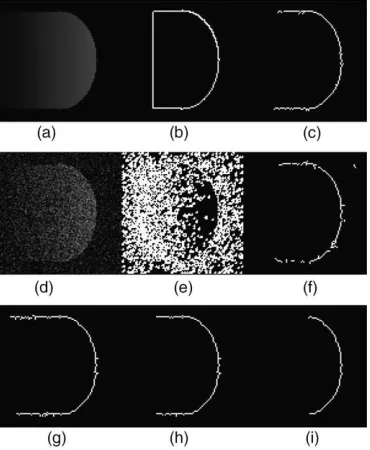 Fig. 3. Original noiseless image characterised with a nonclosed contour (a)contour detection of the noiseless image using the iterative method proposed inthe GI algorithm, (c) noisy image with SNRiterative method proposed in Ref.Ref