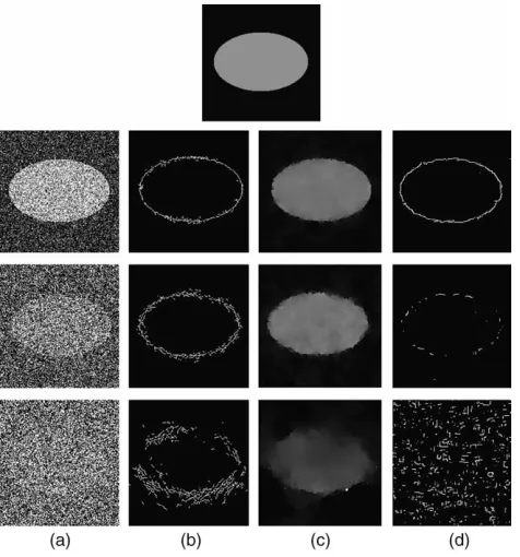 Fig. 6. A noisy image of cells (top left) and its segmented image using DroGedge detector (top right) segmented and smoothed image using GI method withmZ100 (bottom left and right, respectively).