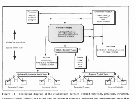 Figure 1-1 - Conceptual diagram of the relationships between wetland functions, processes, structure, 
