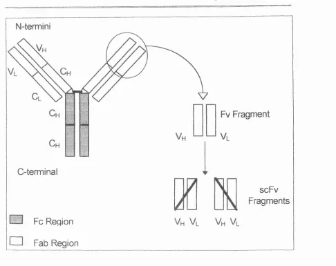 Figure 1.1.2. 