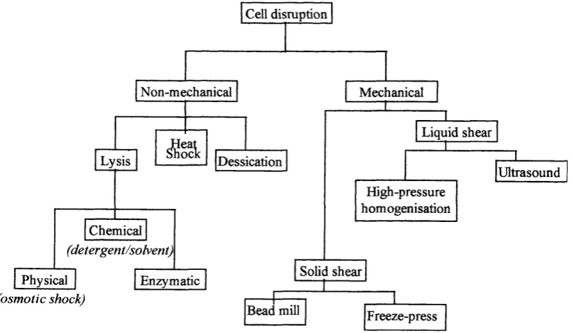 Figure 1.4.1 Product release techniques. (Adapted from Christi and Moo-Young, 1986).