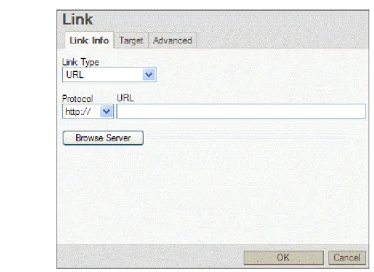 Figure 26: Inserting an External Link  3  On the Link Info tab, select URL from the Link type list
