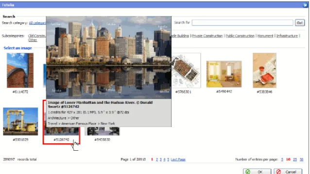 Figure 34: Selecting an Image in the Fotolia Gallery  6  Click OK.  