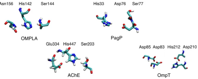 Fig. 9. The four enzymes: OMPLA, AChE, OmpT and PagP used in a comparative analysis of molecular dynamics simulations.