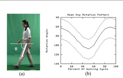 Fig. 2. The walking cycle.