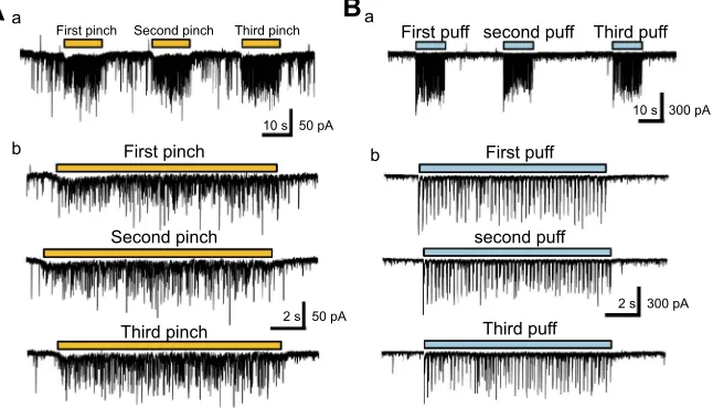 Figure 2 Repetitive air-puff and pinch stimulation-evoked response of the EPSC amplitude