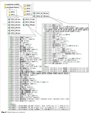 Fig. 3 Retail data at a glance