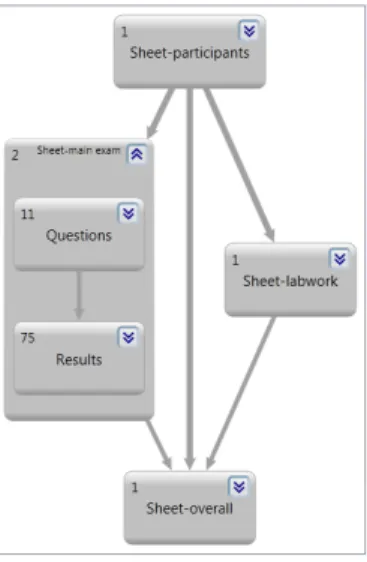 Figure 5: The worksheet ‘main exam’ expanded to worksheet view. Numbers in the upper left corner indicate the number of cells within the data block.
