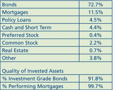 Table 1 shows that as of year-end 2009 more than 80 percent of the top 30 insurers’ 