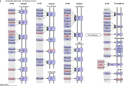 Figure 2. Functional enrichment analysis of the 211 missense-mutated genes detected by exome sequencing in PRCC