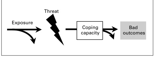 Figure 1. A framework for understanding vulnerability.