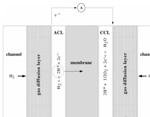 Fig. 1. Schematic representation of the MEA and a description of the geometry.