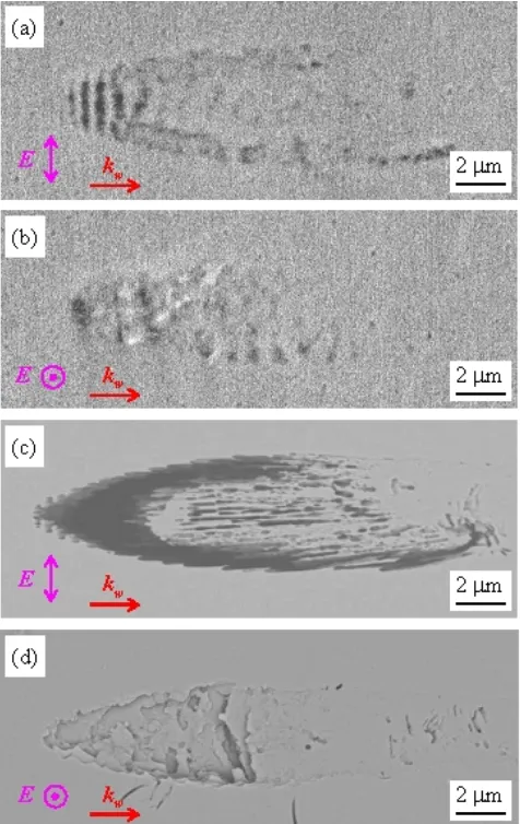 Fig. 1prints”: Backscattering electron images of the same surface. k  (a) Secondary electron images of silica glass surface polished close to the depth of focal spot