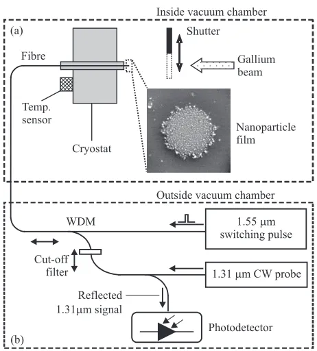 Fig. 1. The experimental setup used to demonstrate optical memory functionality of a ﬁlmof gallium nanoparticles self-assembled on the end face of an optical ﬁber