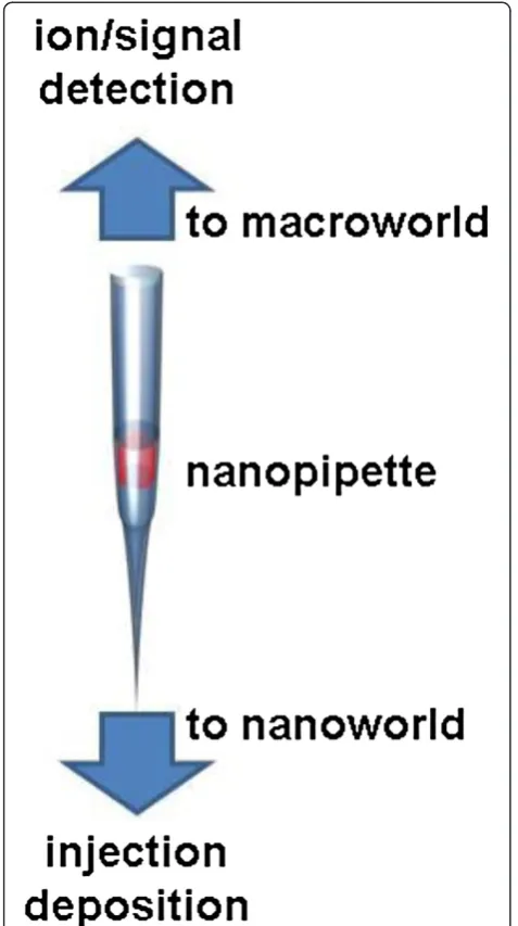 Figure 1 Concept of a nanopipette: a bridge between macro- andnano-world.