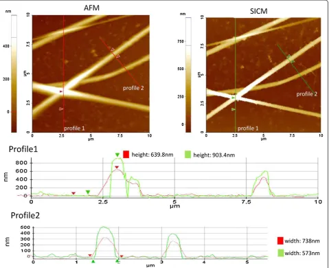 Figure 5 Comparison of SICM and AFM imaging capabilities.and then by SICM (upper right image)