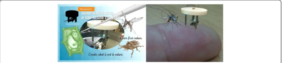Figure 7 Left figure: schematic showing the concept of aThe design of the nano-mosquito is inspired from the beetle STM developed by Besocke