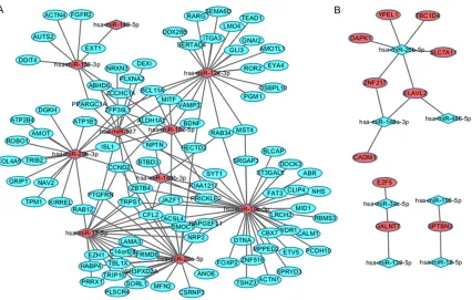 Figure 2. Regulatory network between miRNAs and target genes in osteosarcoma. The diamonds and ellipses repre-sent the miRNAs and genes, respectively