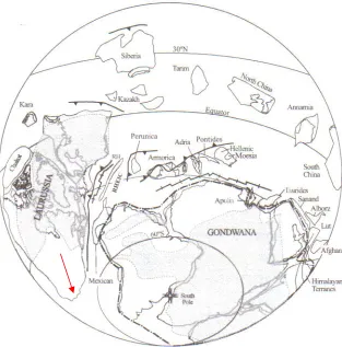 Fig 6.17. Early Devonian palaeogeography (from Torsvik & Cocks, 2004).  Note the position of 