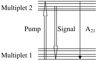 Figure 2.3: Energy level of a two-level system where the two levels comprise many sublevels [12].