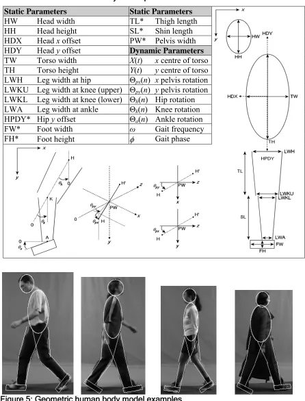 Table 4: Geometric human body model parameters 