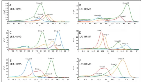 Figure 2 Agarose gel electrophoresis of RT-PCR HRMamplicons. Visualization of amplicons generated with the real-timeRT-PCR HRM assay with primer pair LR3.HRM4, separated on a 1.5%TAE agarose gel with ethidium bromide staining