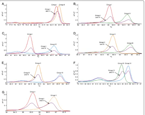 Figure 4 Variant-specific plasmid DNA duplex infections. Comparison of the different duplex infections possible between variant groups I, II,III and VI