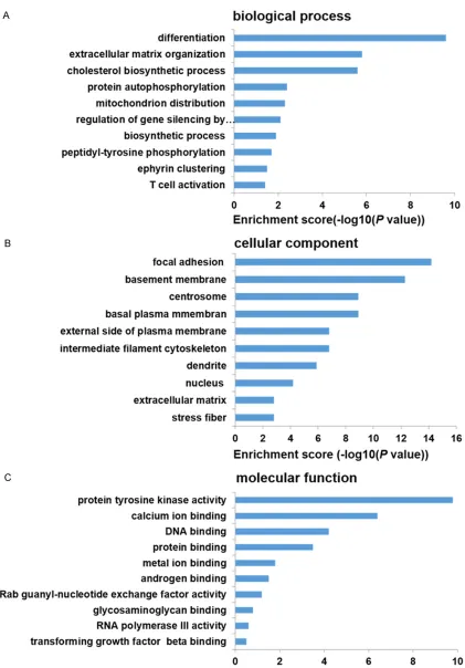 Figure 2. The top 10 results of GO analysis. A. biological process. B. cellular component