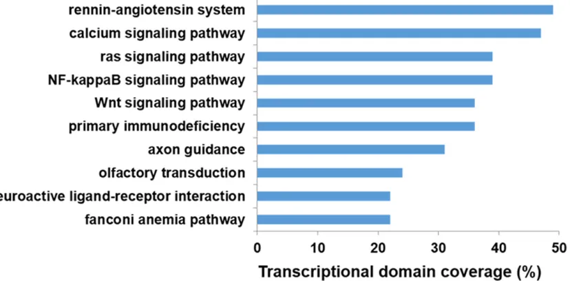 Figure 3. The top 10 results of KEGG pathway enrichment analysis.