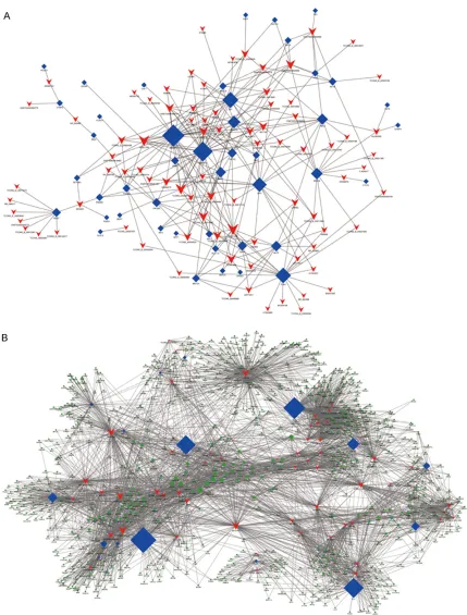 Figure 4. Co-expression networks of AF-associated genes and co-regulated lncRNAs. A. AF-lncRNA network