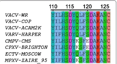 Figure 1 Amino acid sequence alignment of orthopoxvirus A33homologs. D115 is conserved across species, while residues 118and 120 demonstrate heterogeneity.
