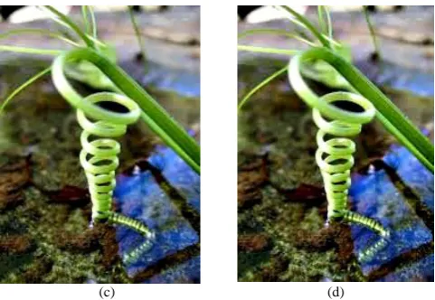 Figure 4 : Algorithm of edge detection based time-lapse video generation  