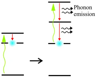 Figure 2.6: Schematic of Cross Relaxation