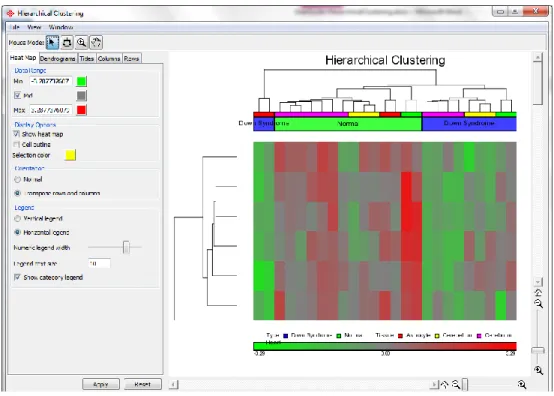 Figure 9: Zoomed selected genes in hierarchical clustering plot 