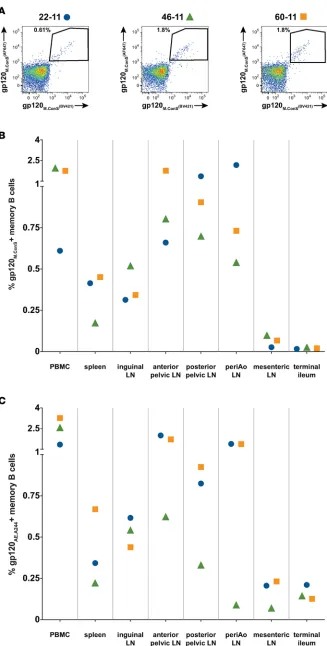 Figure 3. Flow cytometric detection of antigen-specific B cells.IgD Peripheral blood mononuclear cells (PBMCs) were labeled to identify memory B cells, defined as CD3/14/16−, CD20+, and surface −, and also with Env probes in 2 colors