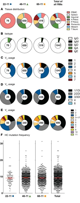 Figure 4. Characteristics of isolated HIV-1 envelope–reactive mAbs.There were 1,493 mAbs isolated of which 1,242 were reactive with HIV‑1 