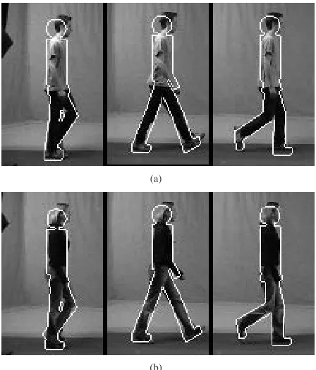 Figure 6. Typical ﬁtting results for normal walkers: (a) male and(b) female. The outlines of the extracted models are superimposedon the relevant frames in the sequence.