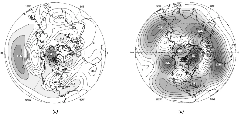 Figure 2: Disturbance streamfunction at 300-hPa (arbitrary units) for FTPOP1 in January (a)  and March (b).