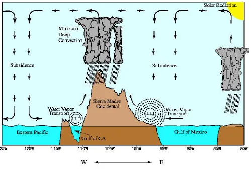 Figure 2.  Schematic vertical (longitude-pressure) cross section through the North AmericanMonsoon System at 27.5°N