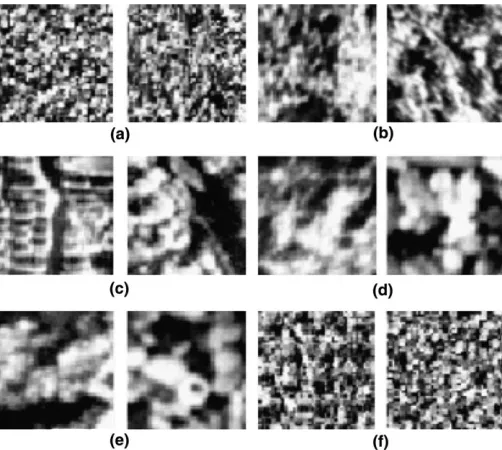 Fig. 1. Examples of misclassiﬁcation. (a) Beachsand and grass, (b) ice and ﬁeldstone, (c) D10 and tree, (d) ﬁeldstone and peb54,(e) peb54 and ﬁeldstone and (f) pigskin and beachsand.