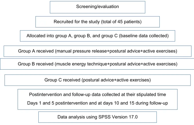 Figure 1 Flow diagram of the study protocol.