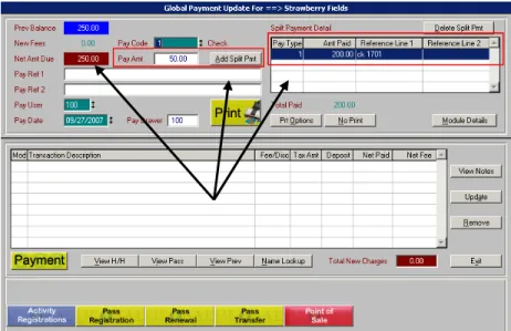 Figure 8:  The Global Sales main screen showing a $200.00 check in the  Split Payment browser and an additional $50.00 still being owed