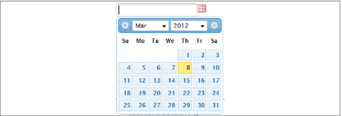 Figure 3: Input field: Date field - Date Picker 