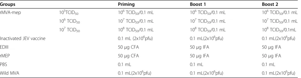 Table 2 The diagram of mouse immunization