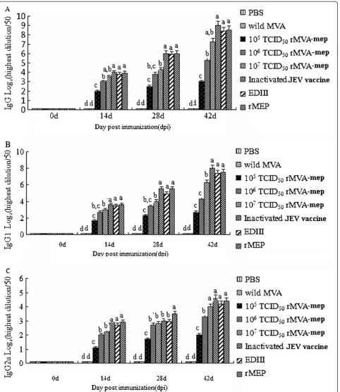 Figure 5 Specific antibody responses. The sera were collected on day 14 after prime, 1st boost and 2nd boost immunized for detecting theantibody special to rMEP of JEV by ELISA, respectively