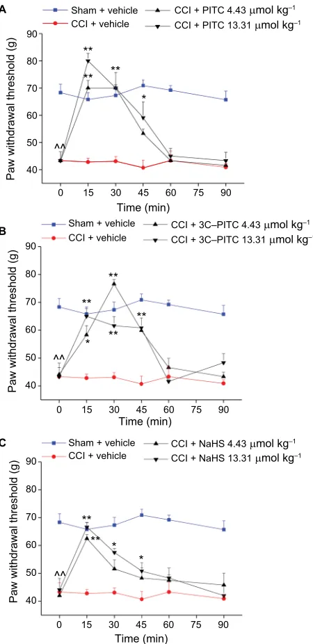Figure 1 Effects of PITC, 3C-PITC, and NaHS on chronic constriction injury (CCI)-induced mechanical hypersensitivity.Notes: Mononeuropathy was induced by ligation of the right sciatic nerve (CCI)