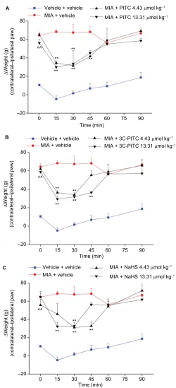 Figure 4 Effects of PITC, 3C-PITC, and NaHS on monoiodoacetate (MIA)-induced postural imbalance.Abbreviations:group, performed in two different experimental sets