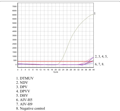 Figure 2 Real-time PCR specificity. The X-axis represents cycles, and the Y-axis represents the fluorescence data.